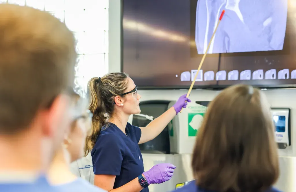 A student in blue scrubs uses a pointer to point to an area on an anatomical image